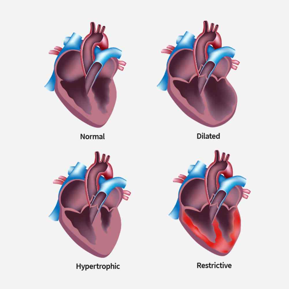 https://arihant.betterspace.care/wp-content/uploads/2021/09/single_service_02.jpg